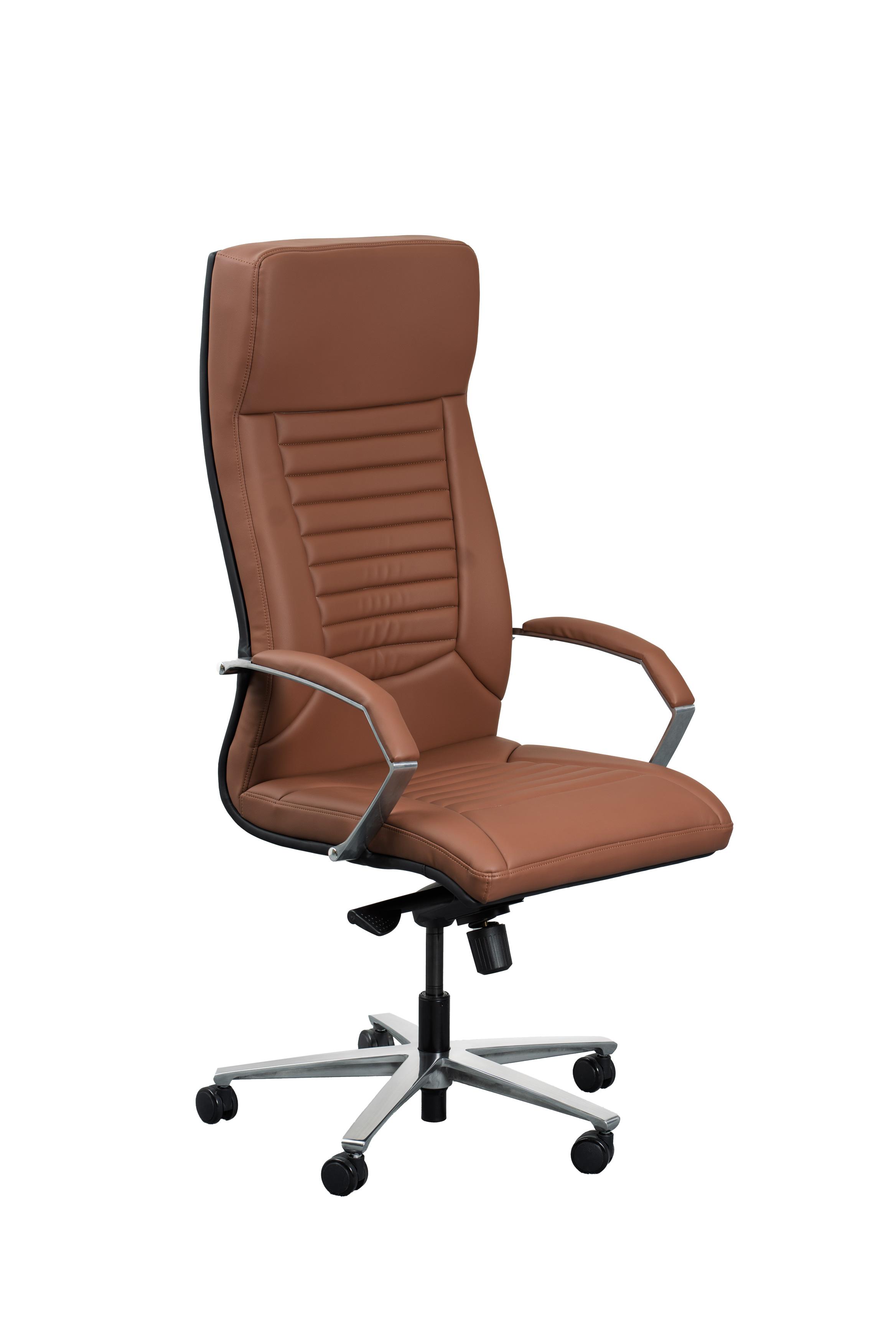 Kürsi deriden SHANA, goňur