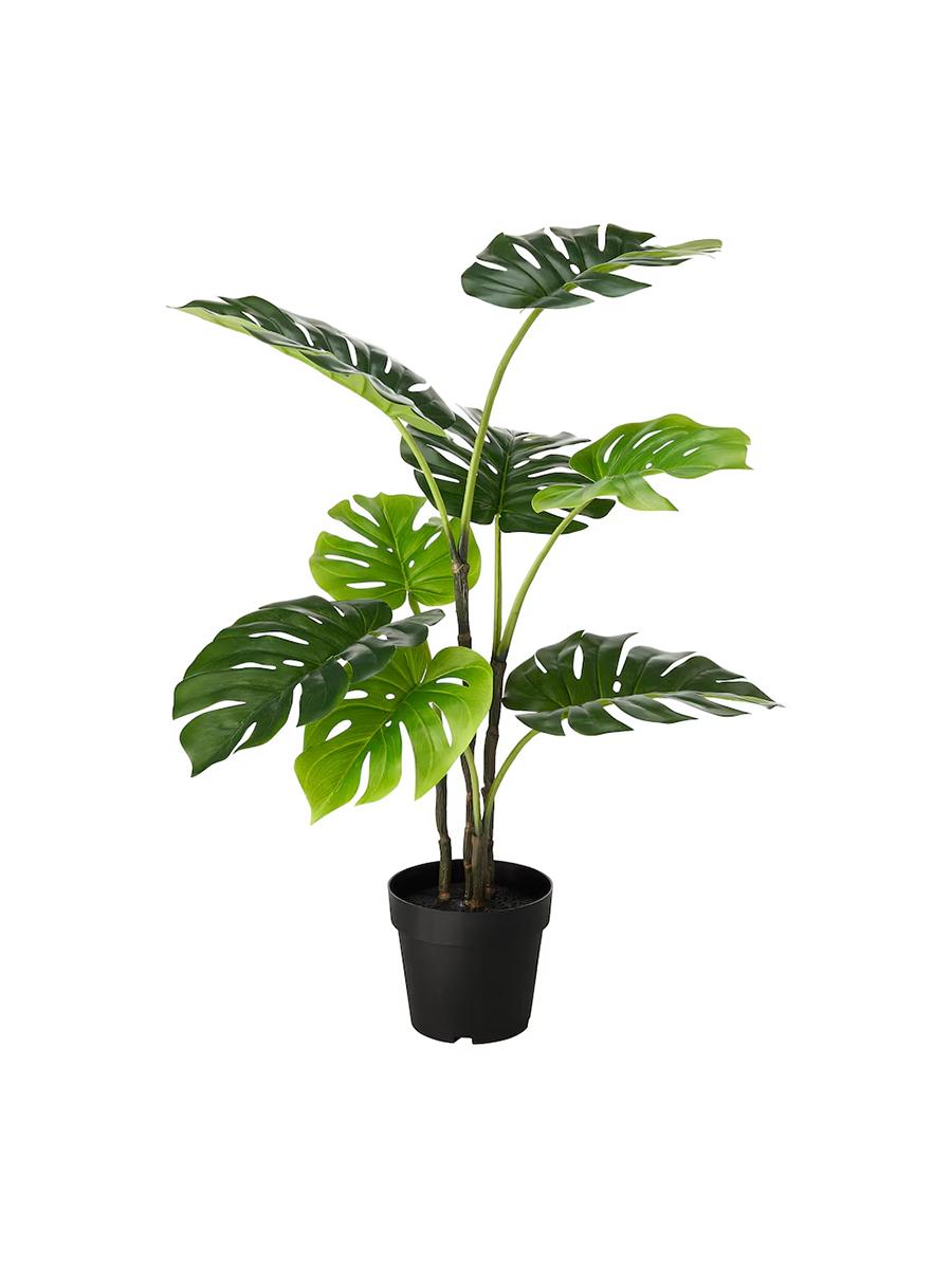 Küýzede emeli ösümlik IKEA FEJKA öý/daşary üçin Monstera 19 cm
