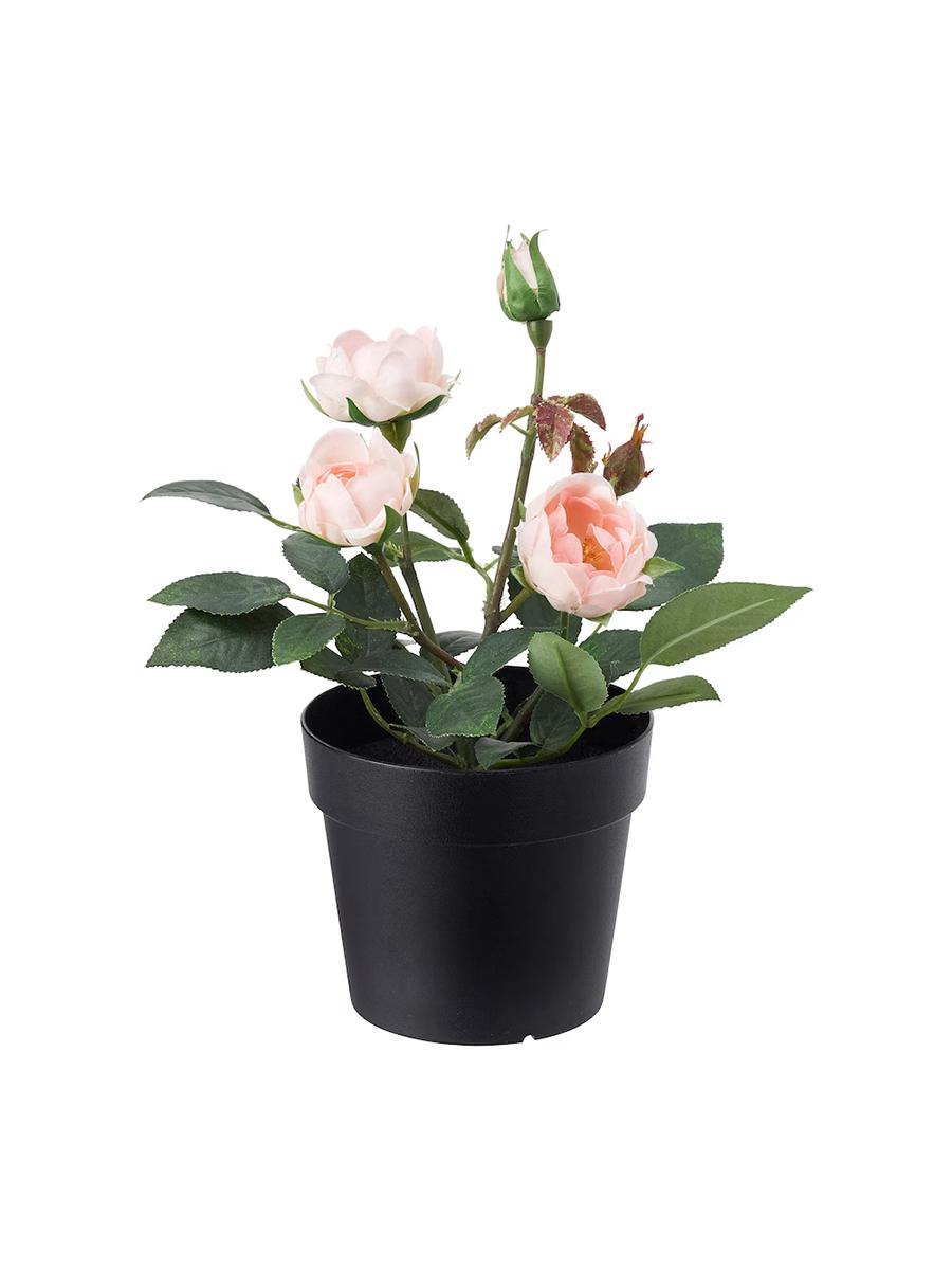 Gapda emeli IKEA FEJKA ösümlik öý we daş üçin gülgüne Roza 9 sm