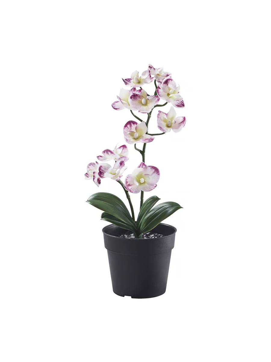 Emeli ösümlik IKEA FEJKA gorşokda orhideýa öý/daşary üçin açyk gyrmyzy, 9 sm