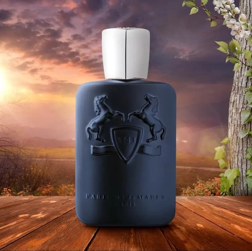 Парфюмированная вода Parfums de Marly Layton (разлив оригинала), 50 мл