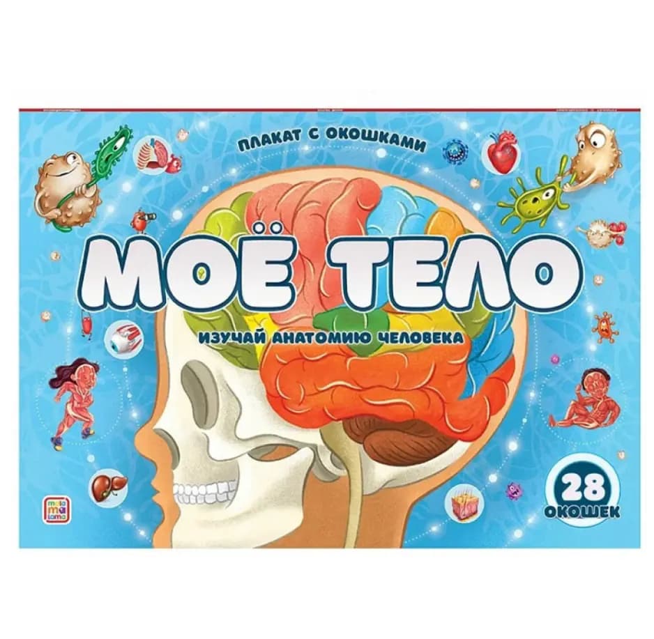 Обучающий плакат с окошками «Моё тело» (28 секретных окошек / Анатомия человека)